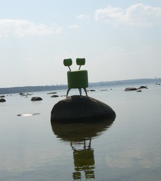 Frog