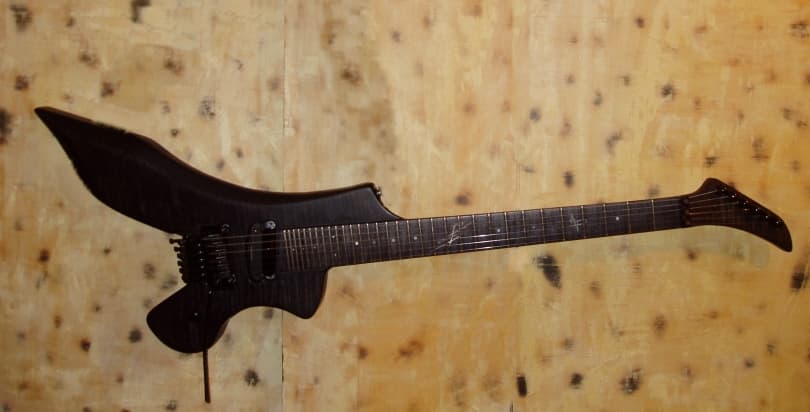 Raven guitar