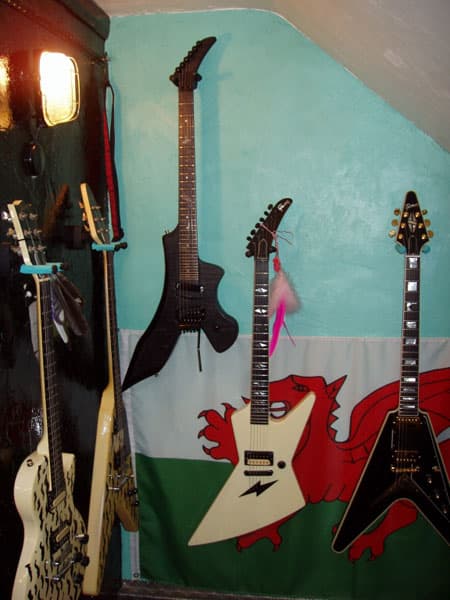 Raven guitar