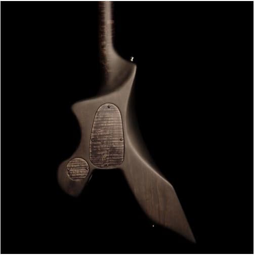 Raven guitar