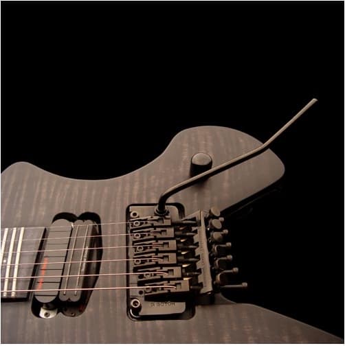 Raven guitar