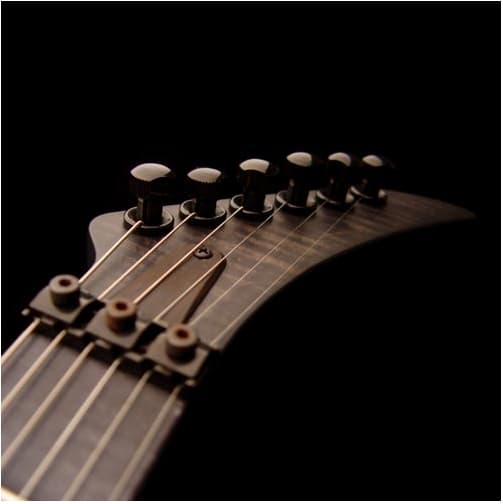 Raven guitar